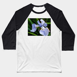 Blue Iris flower head Baseball T-Shirt